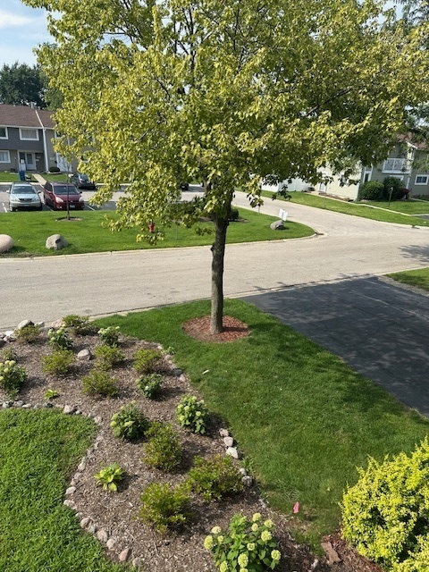 1003 Sandpiper Court, Bartlett, IL 60103