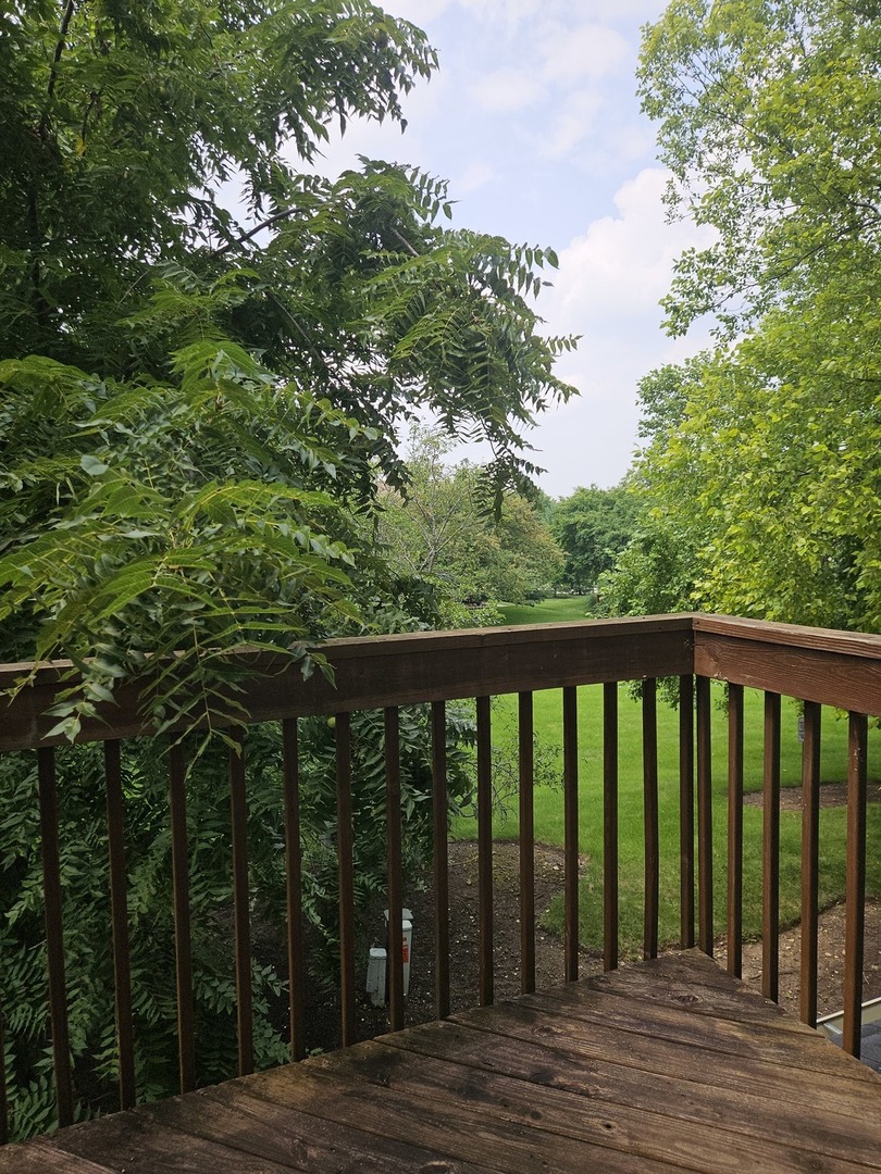 336 Windsor Court #D, South Elgin, IL 60177