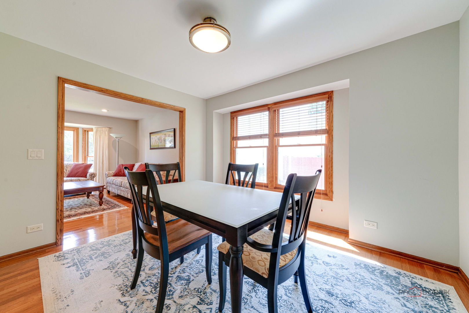 291 Hunter Court, Vernon Hills, IL 60061