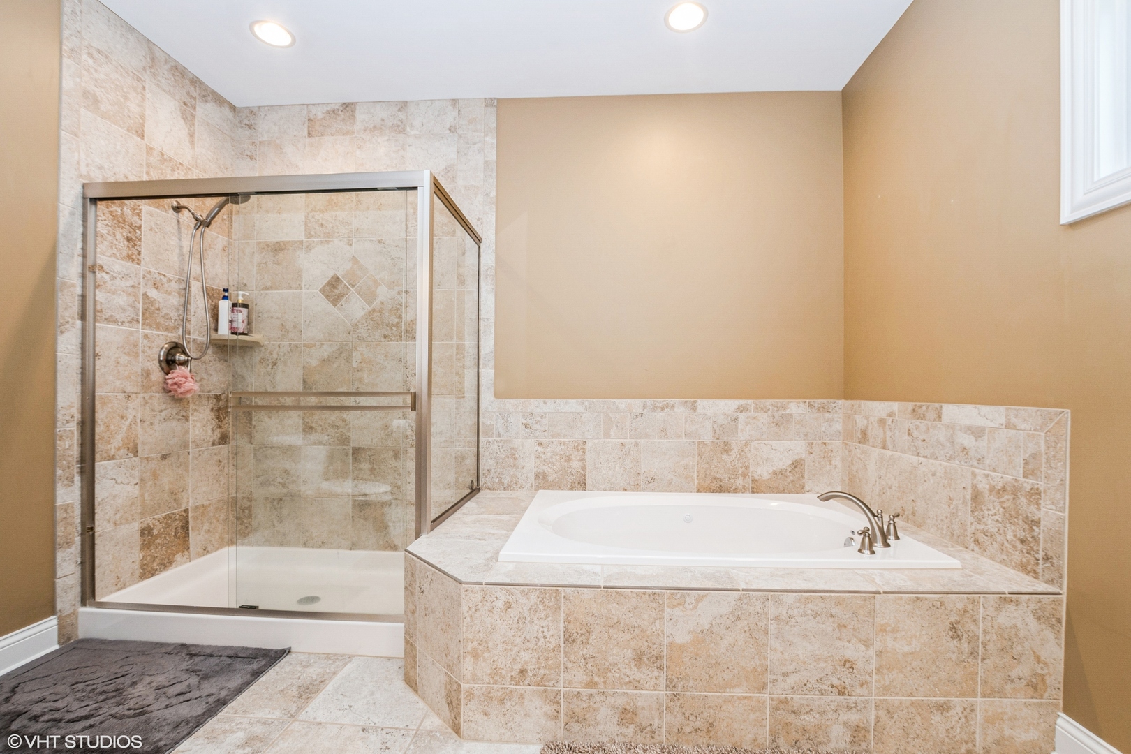 21409 Foxtail Drive, Mokena, IL 60448