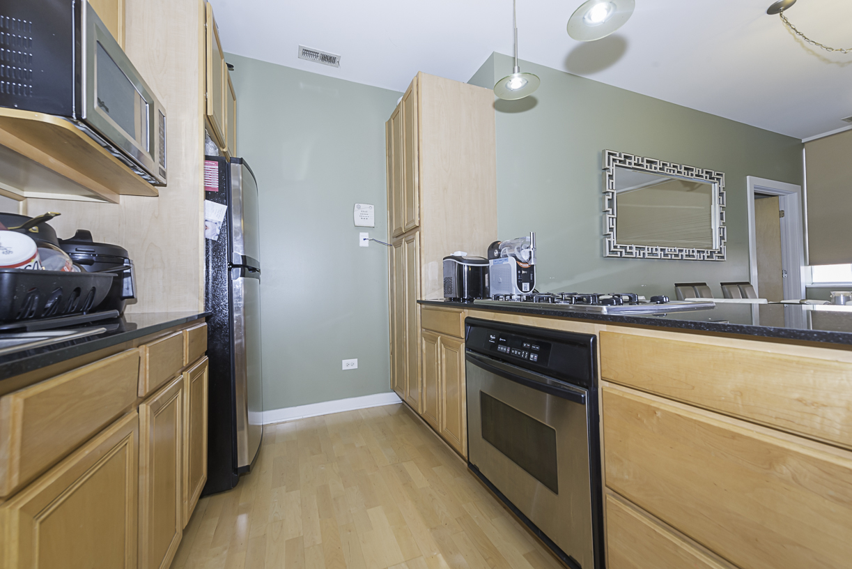 1621 S Halsted Street #405, Chicago, IL 60608