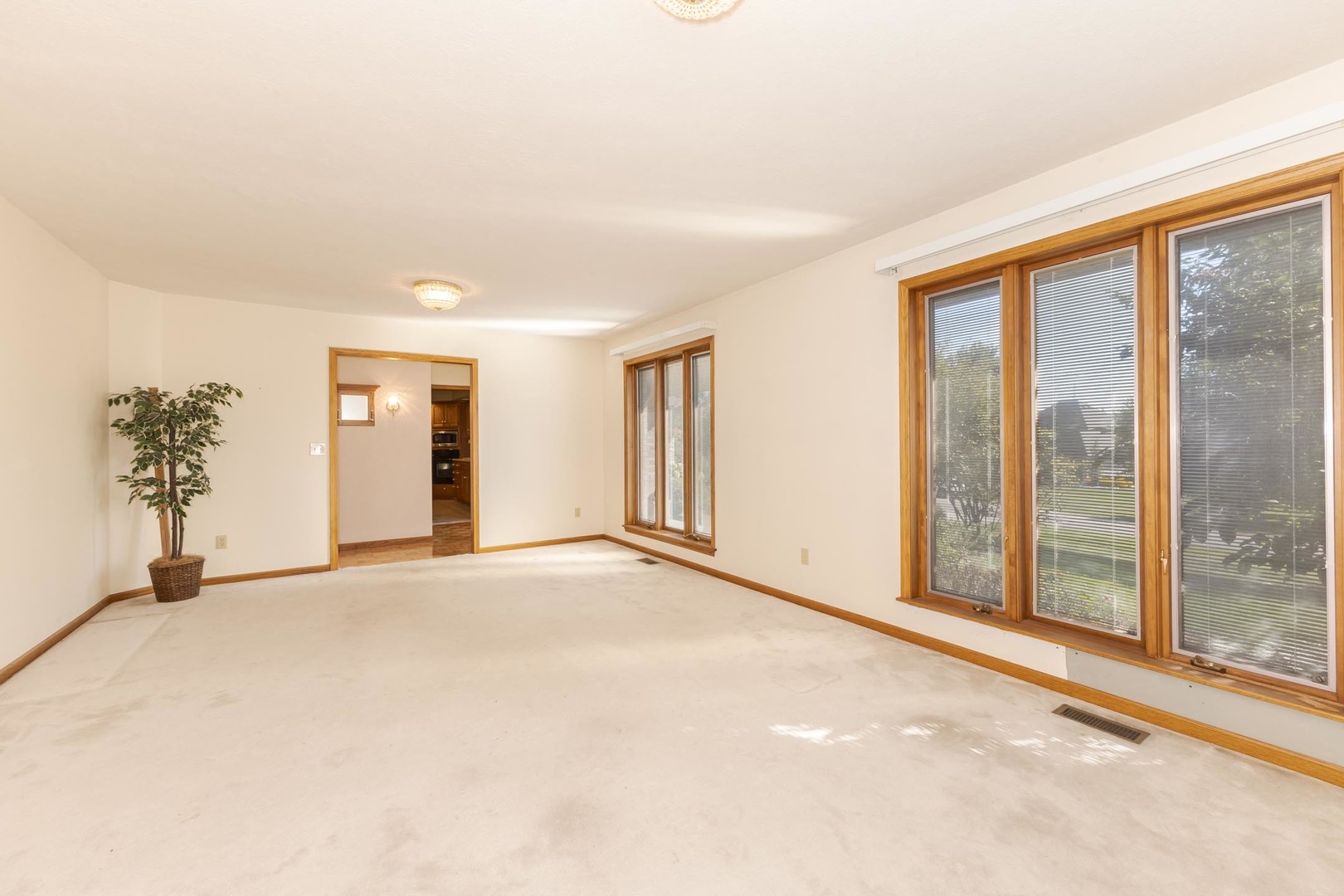 9222 Abbey Way, Downs, IL 61736