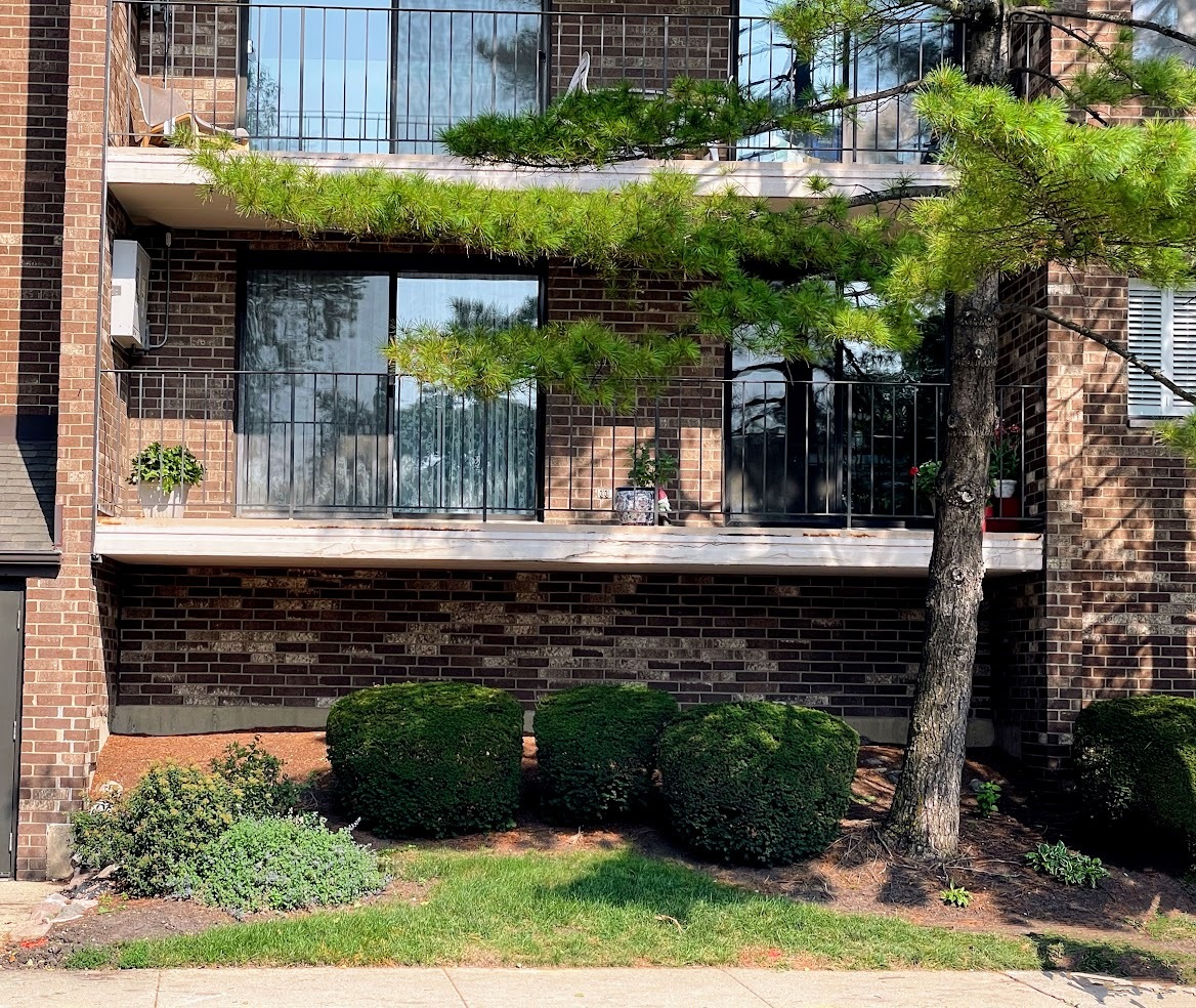 555 Graceland Avenue #206, Des Plaines, IL 60016