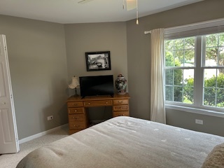 21008 W Hazelnut Lane, Plainfield, IL 60544