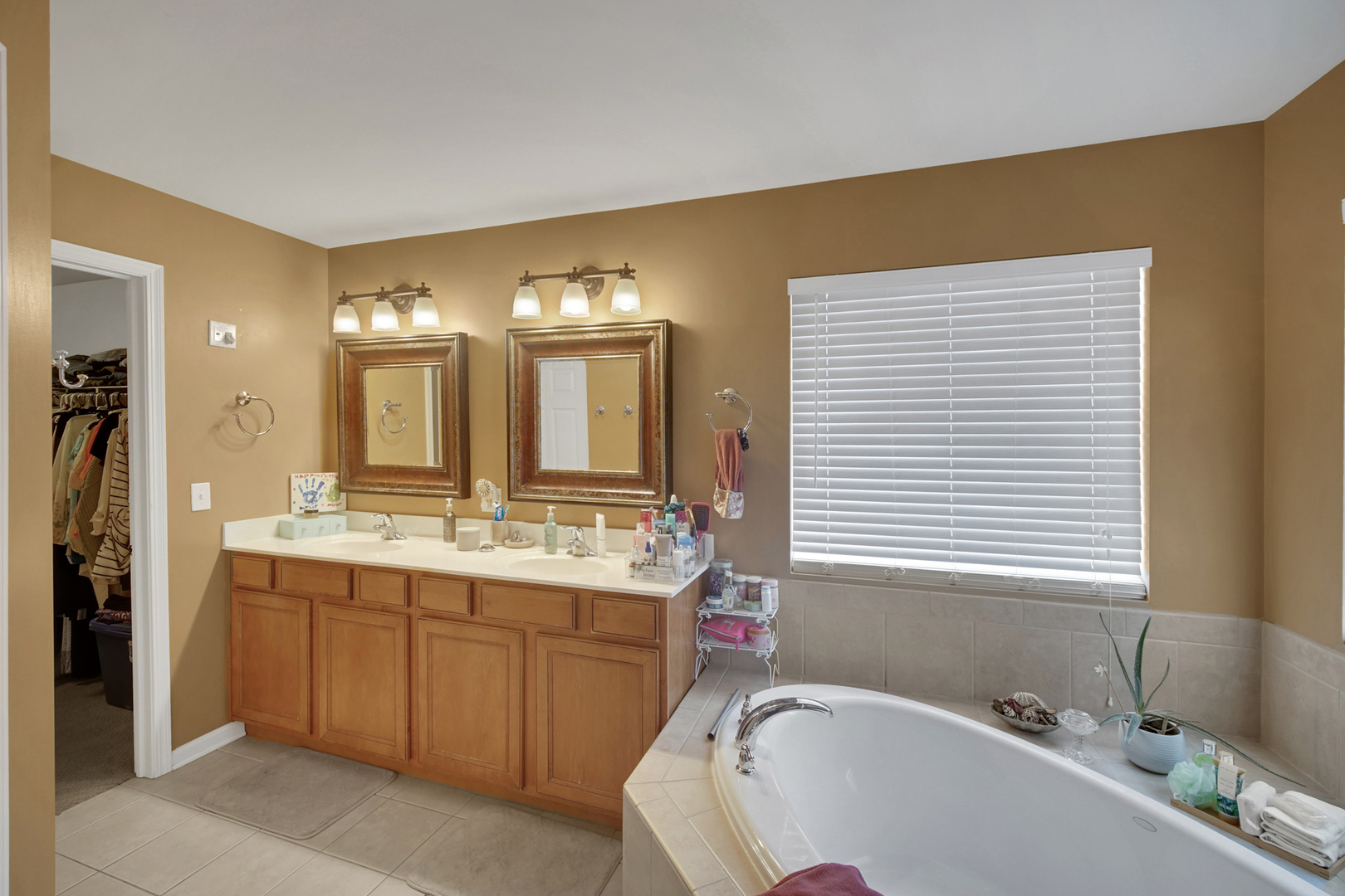 343 Copper Springs Lane, Elgin, IL 60124