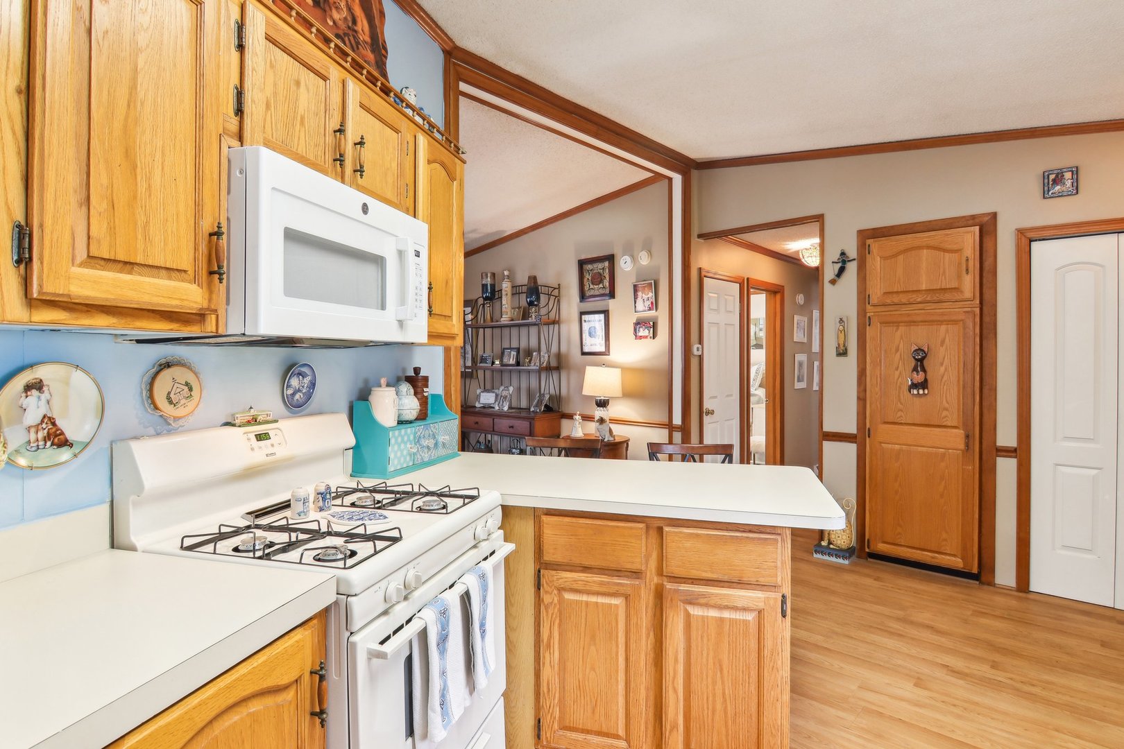 4 Furlong Court, Grayslake, IL 60030