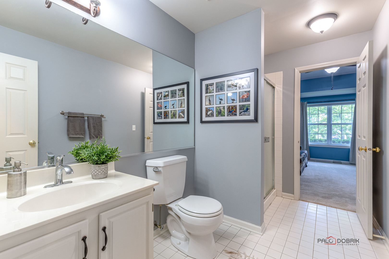 18602 W Meander Drive, Grayslake, IL 60030