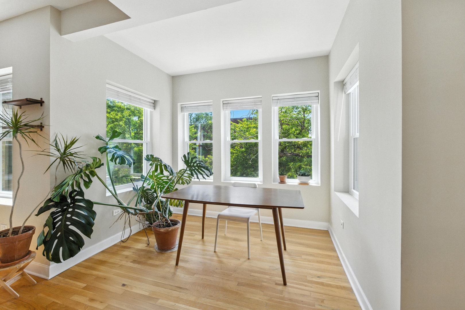 3708 W Ainslie Street #2, Chicago, IL 60625