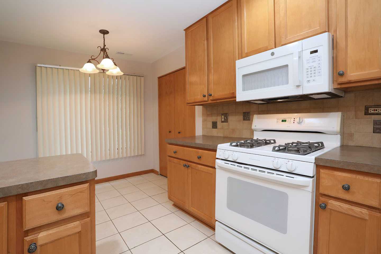 960 Yosemite Trail #A1, Roselle, IL 60172