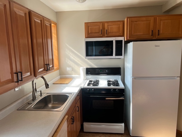 7210 Oak Avenue #3SW, River Forest, IL 60305