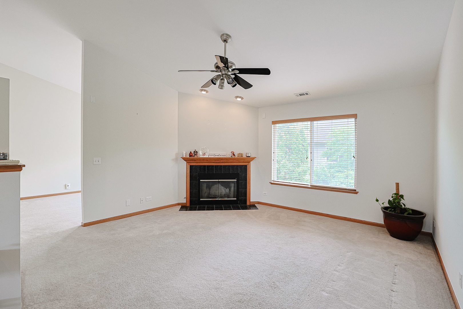 3503 Blue Ridge Court, Carpentersville, IL 60110
