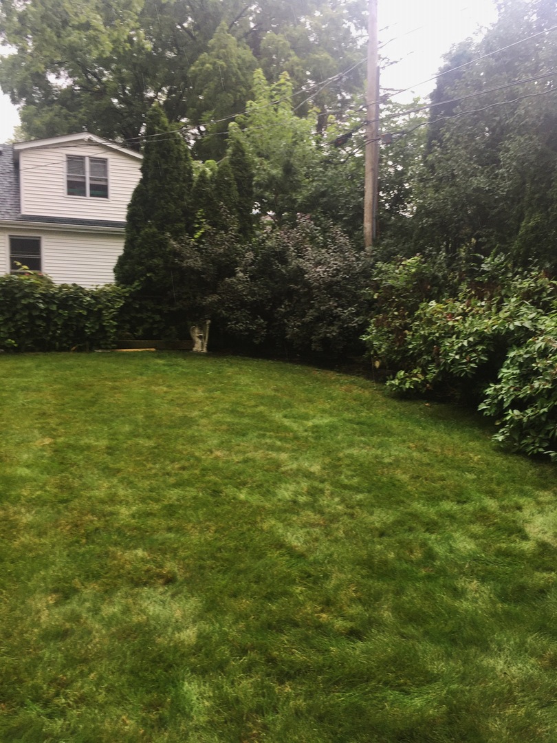 127 S Mitchell Avenue, Arlington Heights, IL 60005