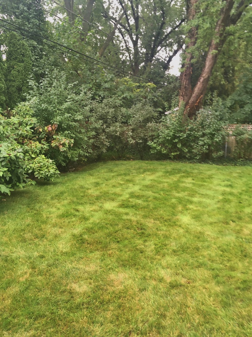127 S Mitchell Avenue, Arlington Heights, IL 60005