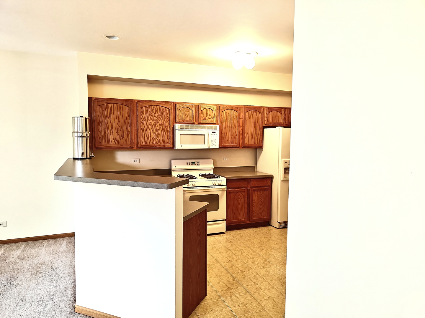 667 Morris Court #667, Lakemoor, IL 60051