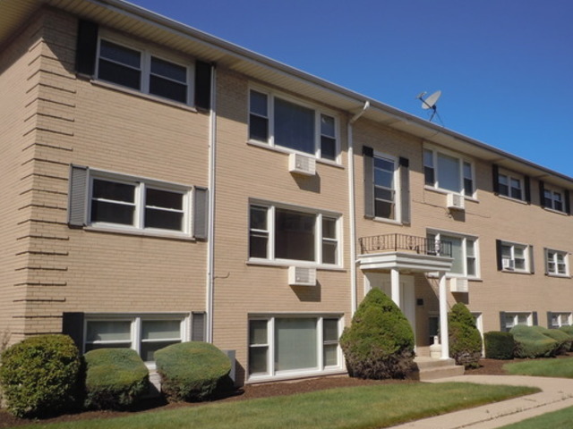 5037 N East River Road #1B, Norridge, IL 60706