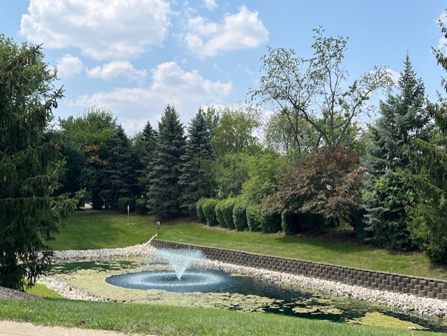1452 Mackenzie Lane, Elgin, IL 60120