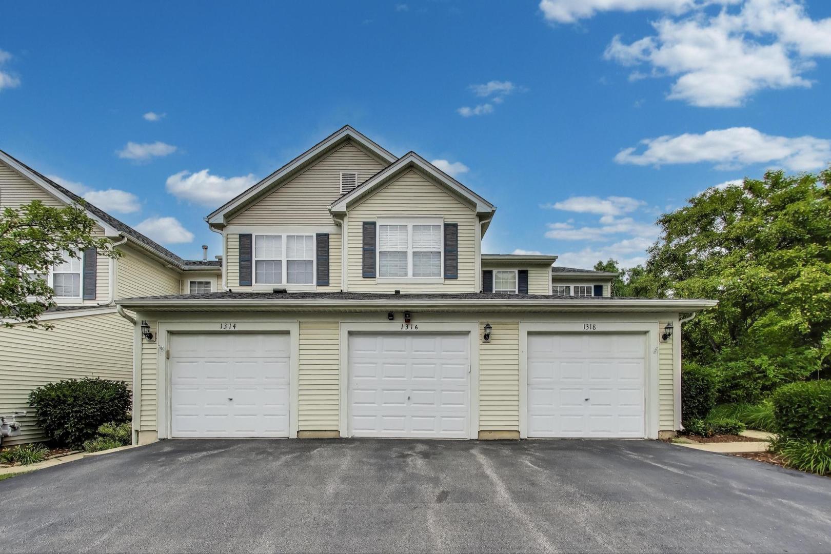 1316 BROOKDALE Drive #1316, Carpentersville, IL 60110
