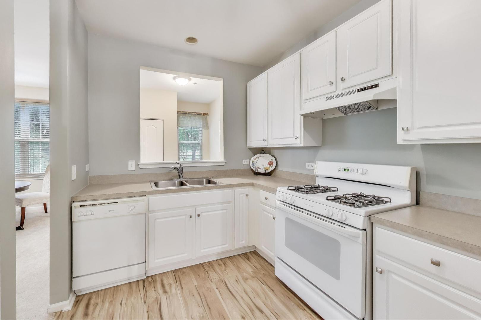 1316 BROOKDALE Drive #1316, Carpentersville, IL 60110