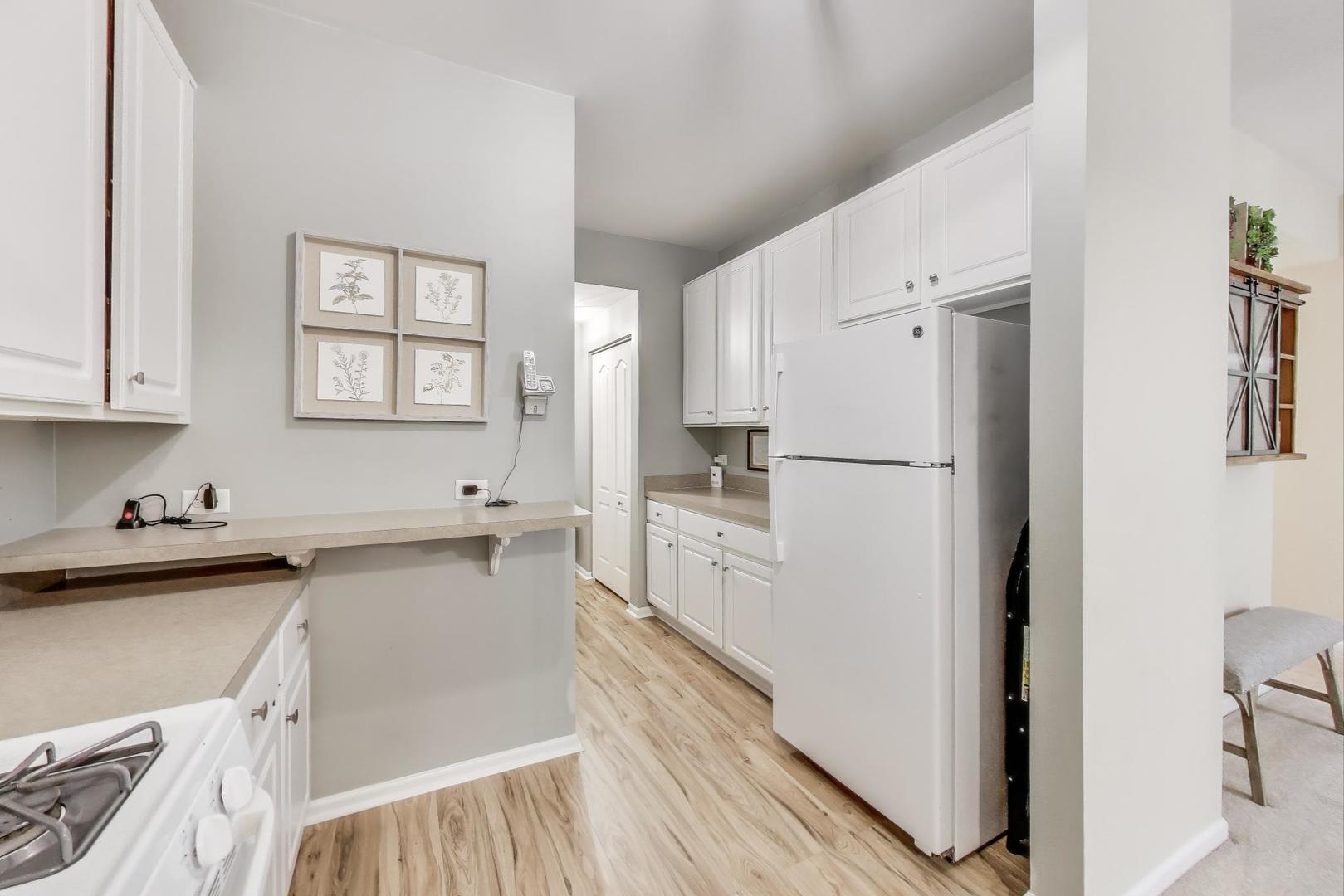 1316 BROOKDALE Drive #1316, Carpentersville, IL 60110