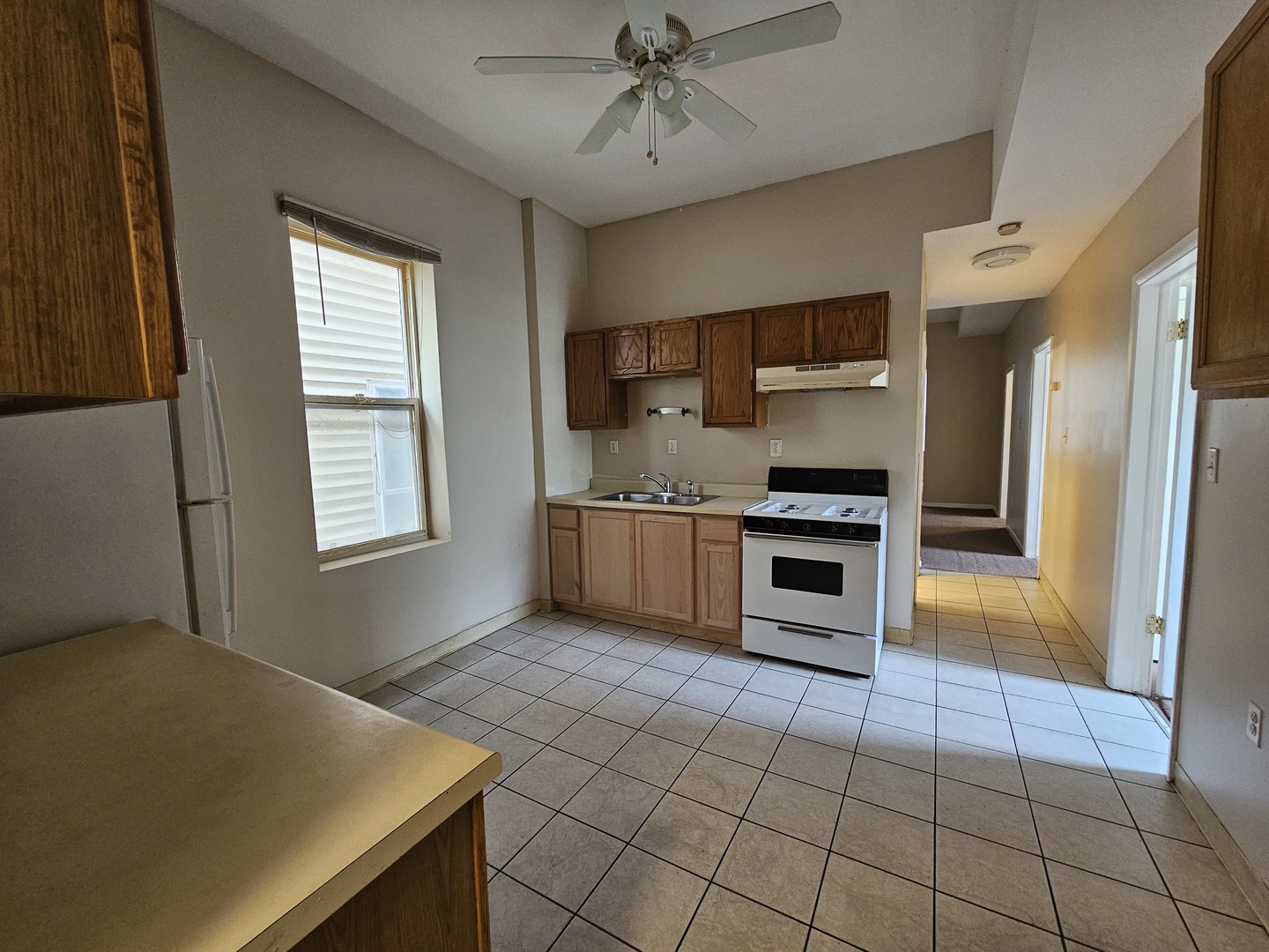 8813 S Buffalo Avenue, Chicago, IL 60617