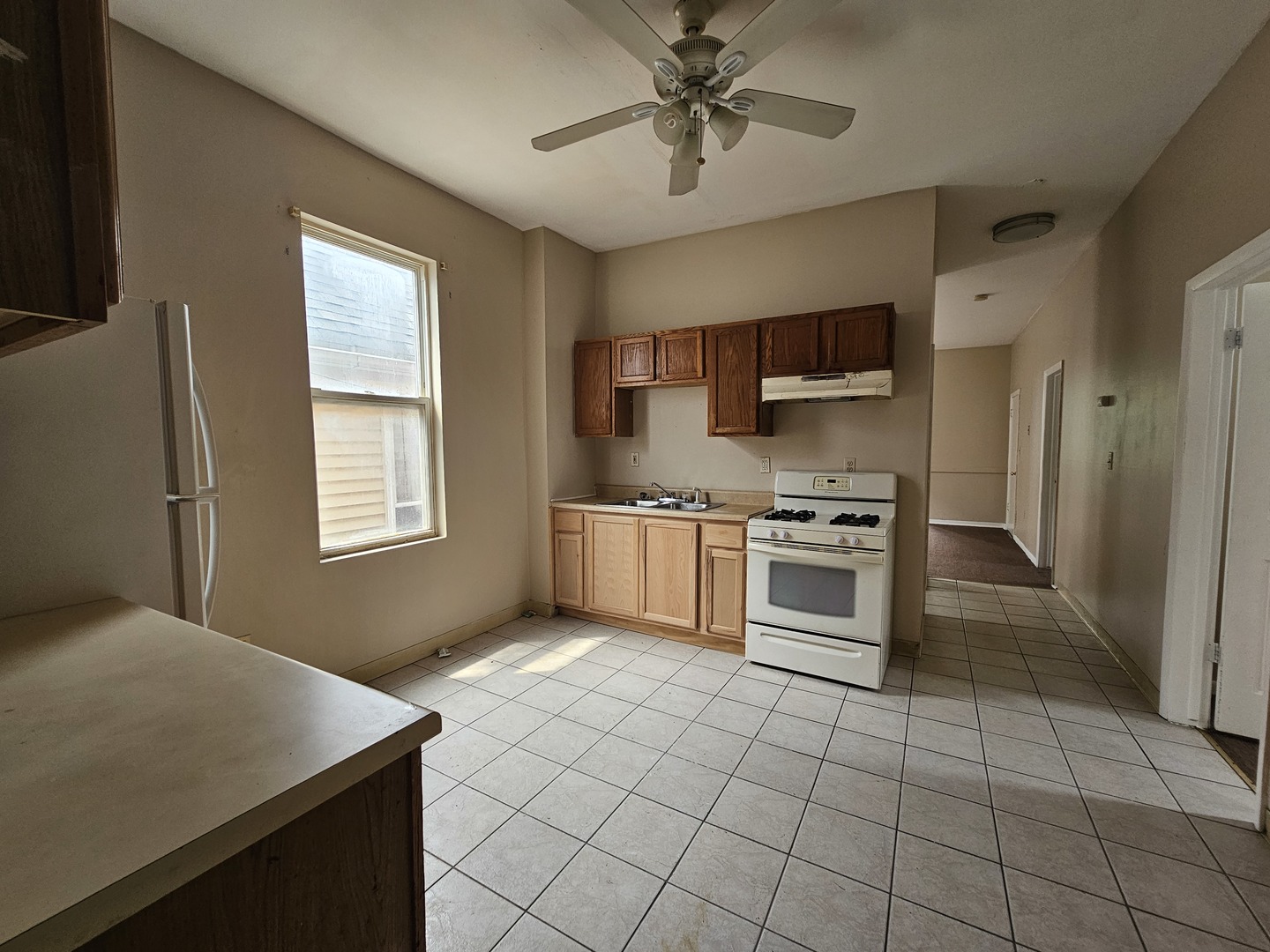 8813 S Buffalo Avenue, Chicago, IL 60617