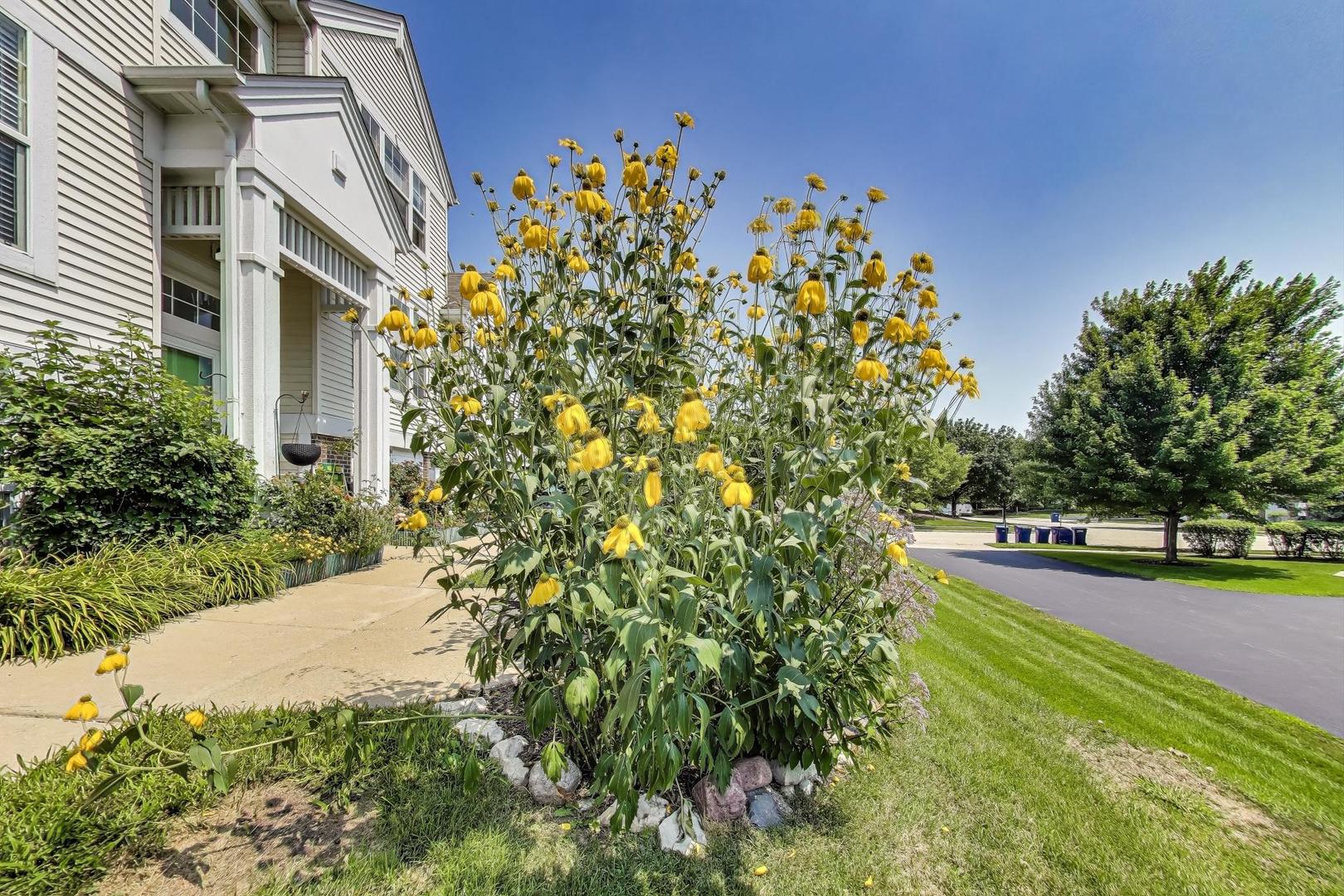 3006 Concord Lane, Wadsworth, IL 60083