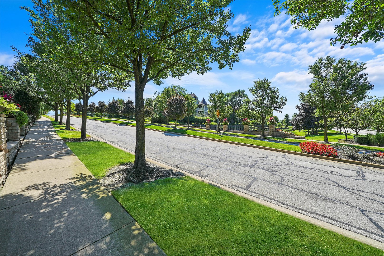 8886 Johnston Road, Burr Ridge, IL 60522
