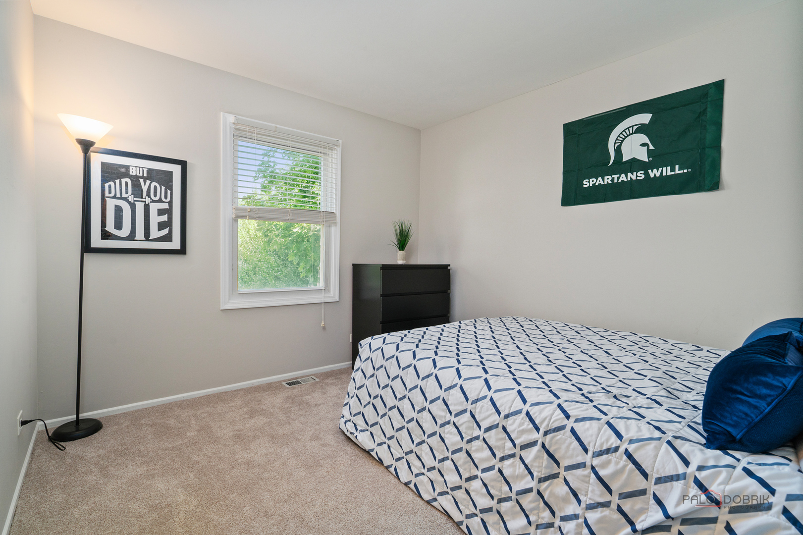 221 Alexandria Drive, Vernon Hills, IL 60061