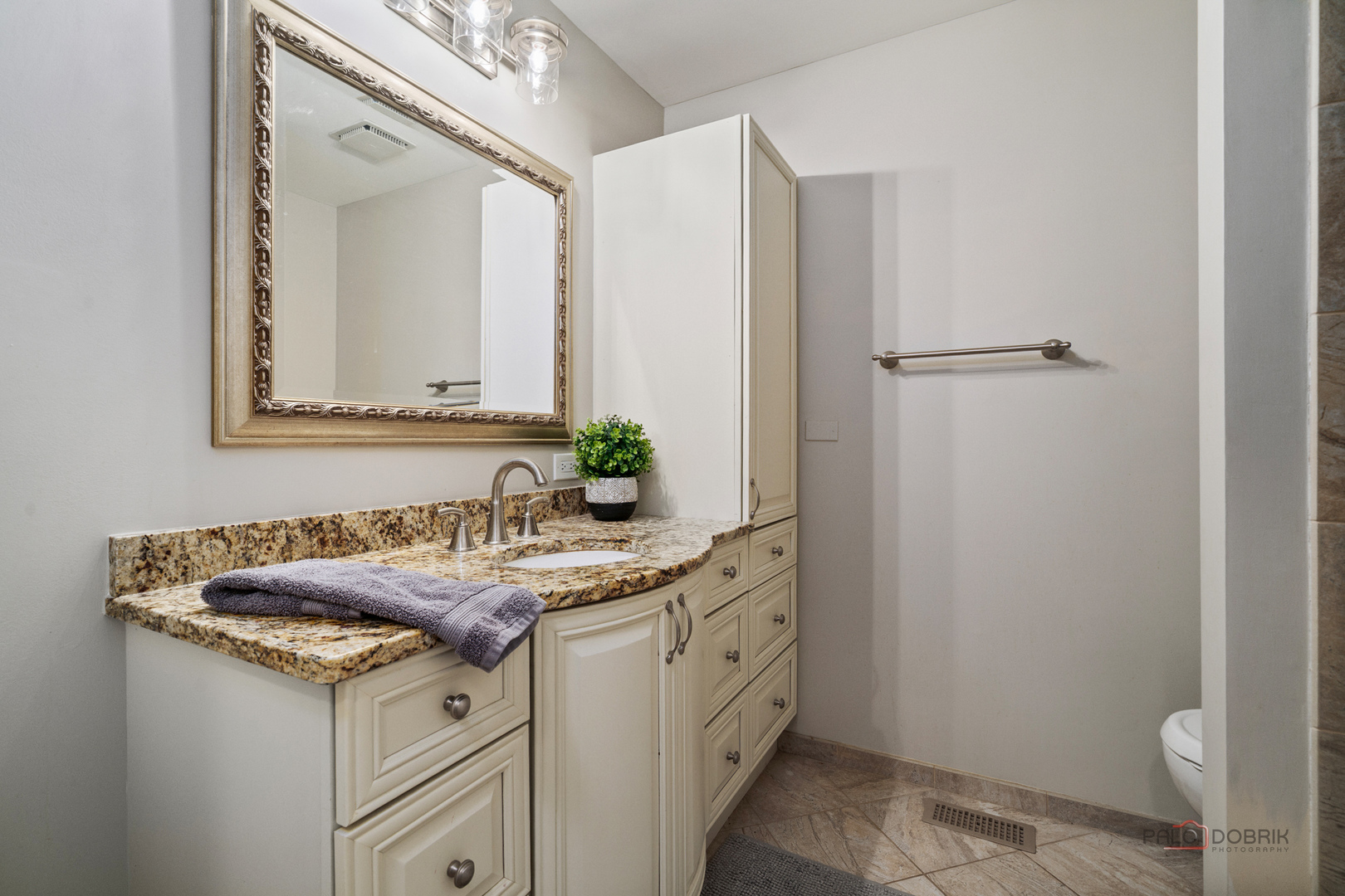 221 Alexandria Drive, Vernon Hills, IL 60061