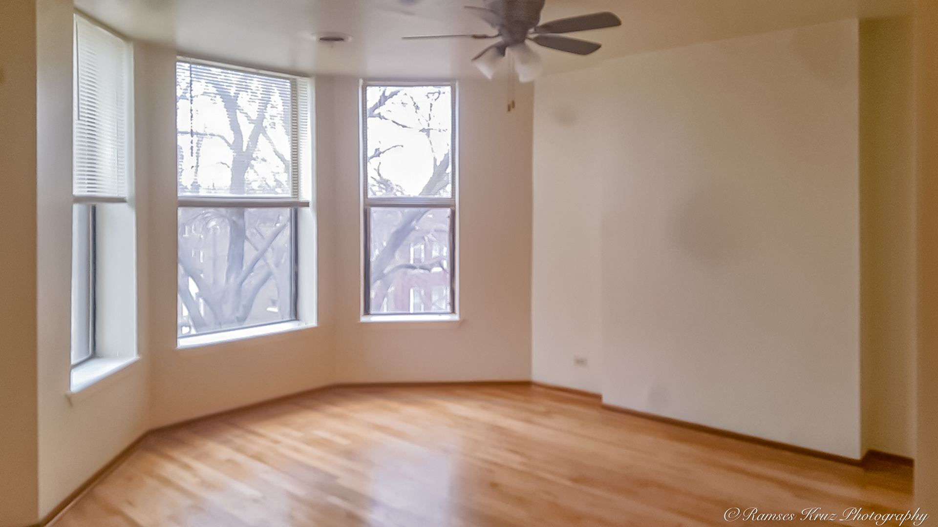 6037 S Champlain Avenue, Chicago, IL 60637