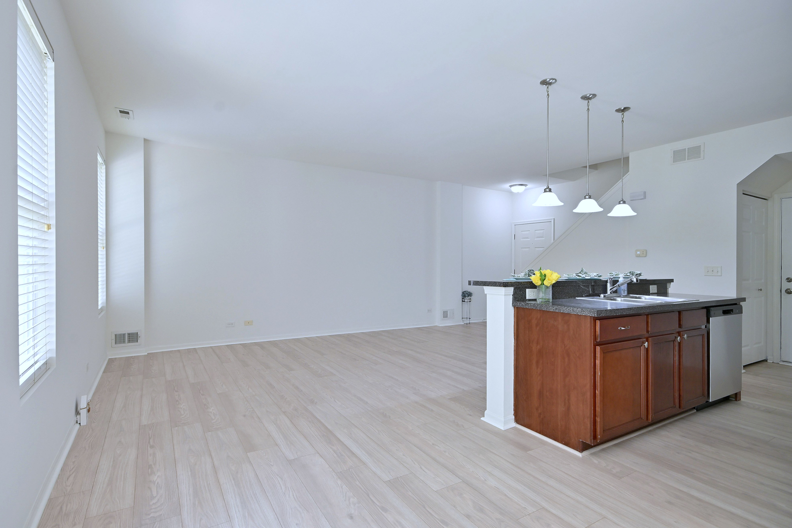 8501 Sawyer Court, Joliet, IL 60431