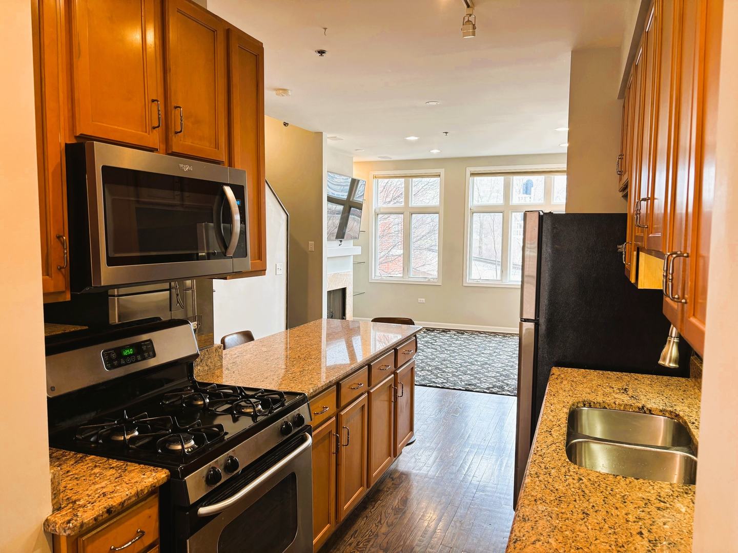 331 E 17th Street, Chicago, IL 60616