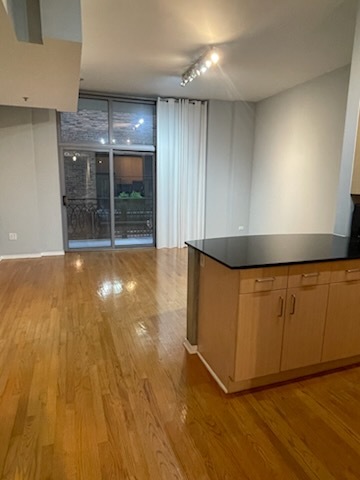 1201 W Adams Street #410, Chicago, IL 60607