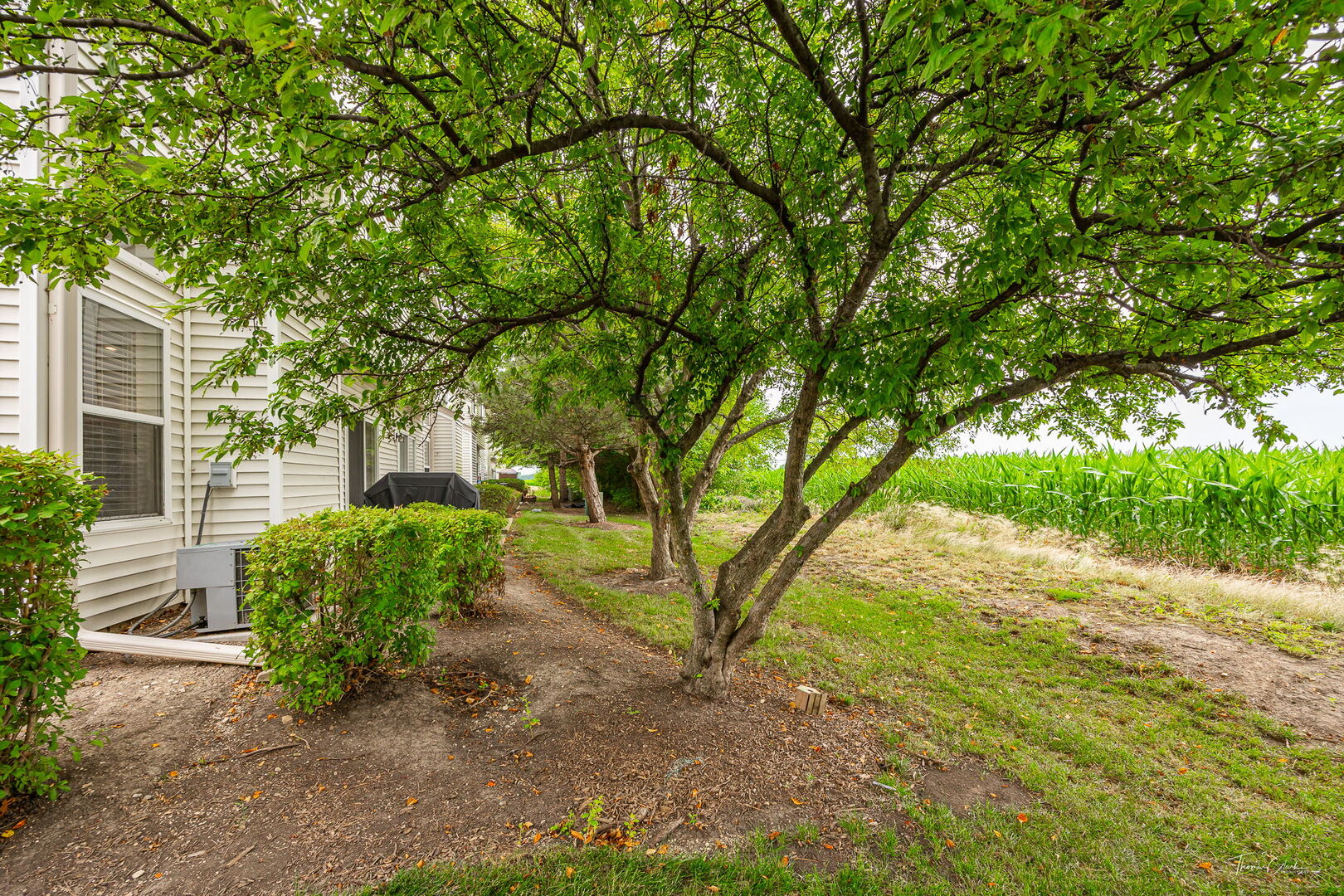 7015 CLEARWATER Drive #7015, Plainfield, IL 60586