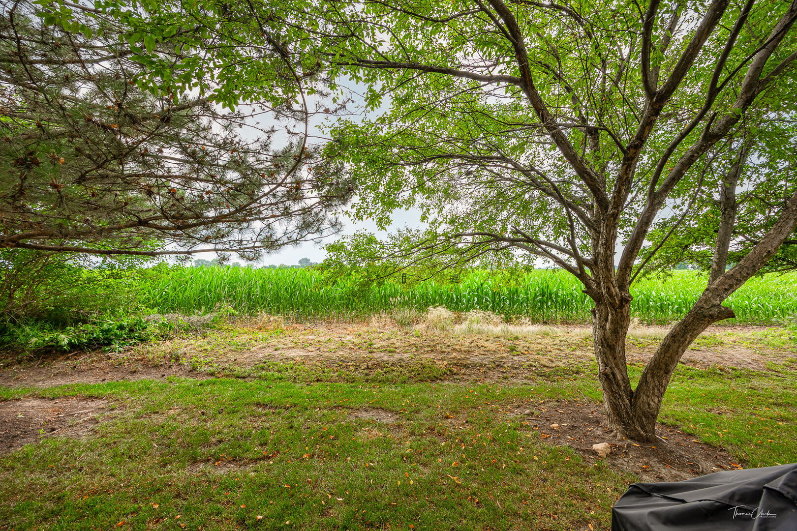 7015 CLEARWATER Drive #7015, Plainfield, IL 60586