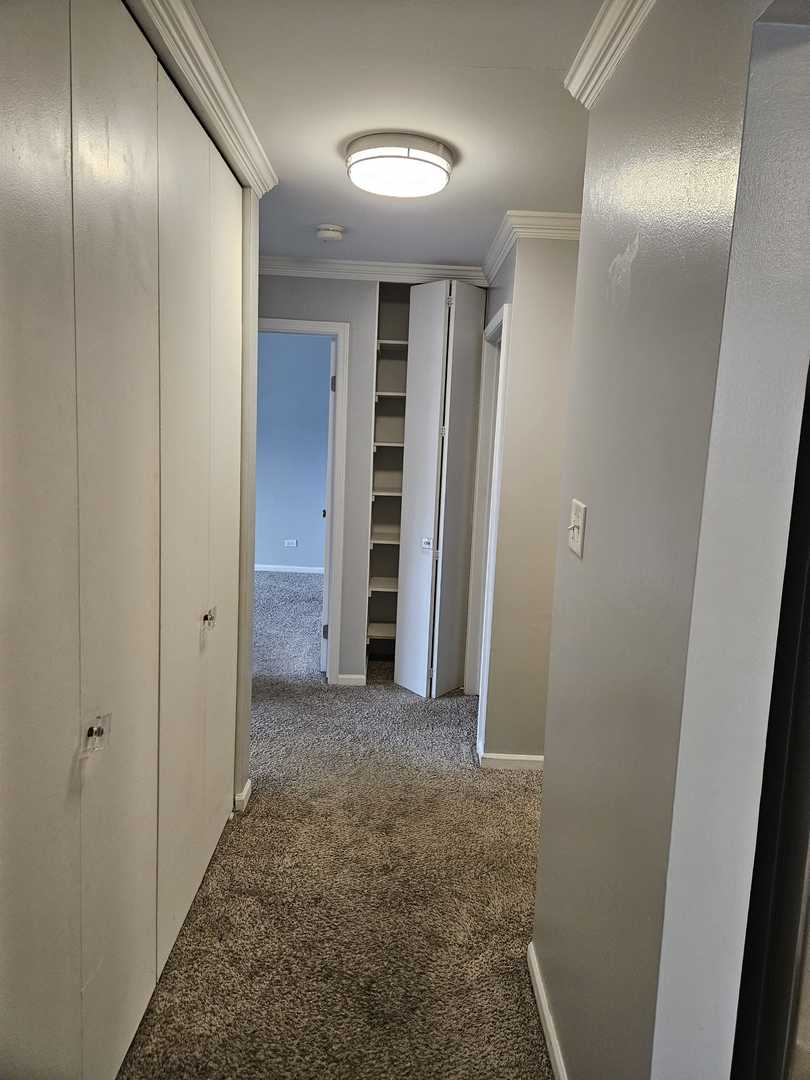 1100 E RANDVILLE Drive #304, Palatine, IL 60074