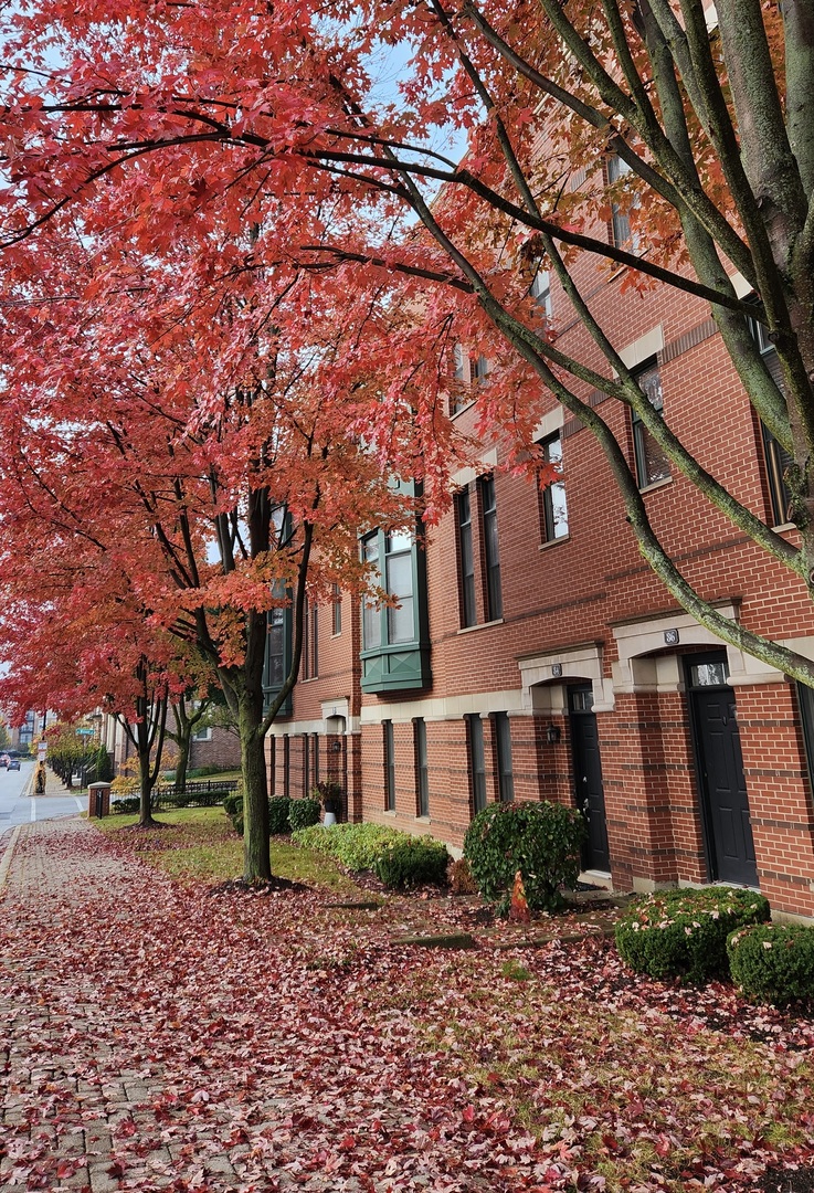 84 N Smith Street, Palatine, IL 60067