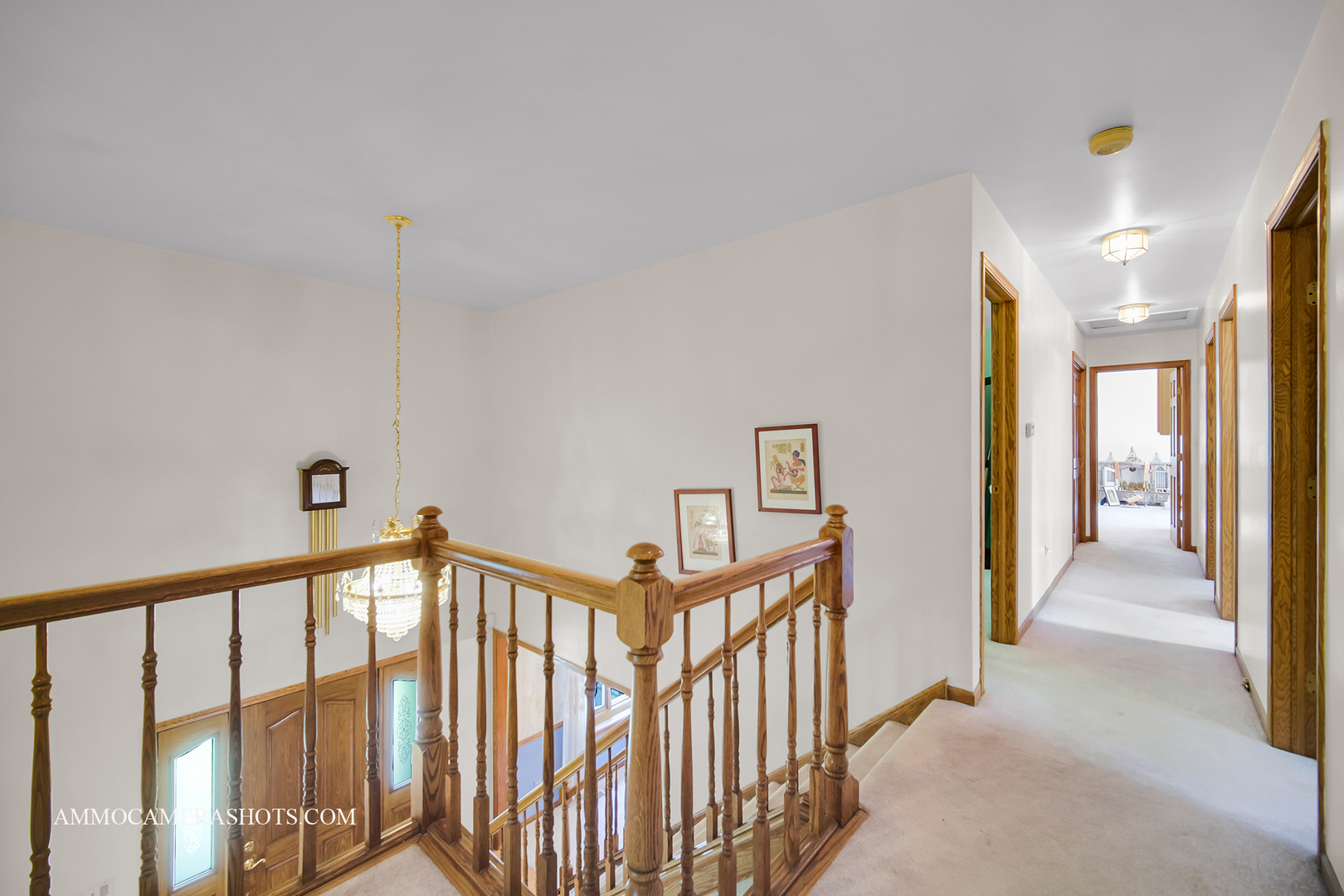 3121 Whispering Oaks Lane, Woodridge, IL 60517