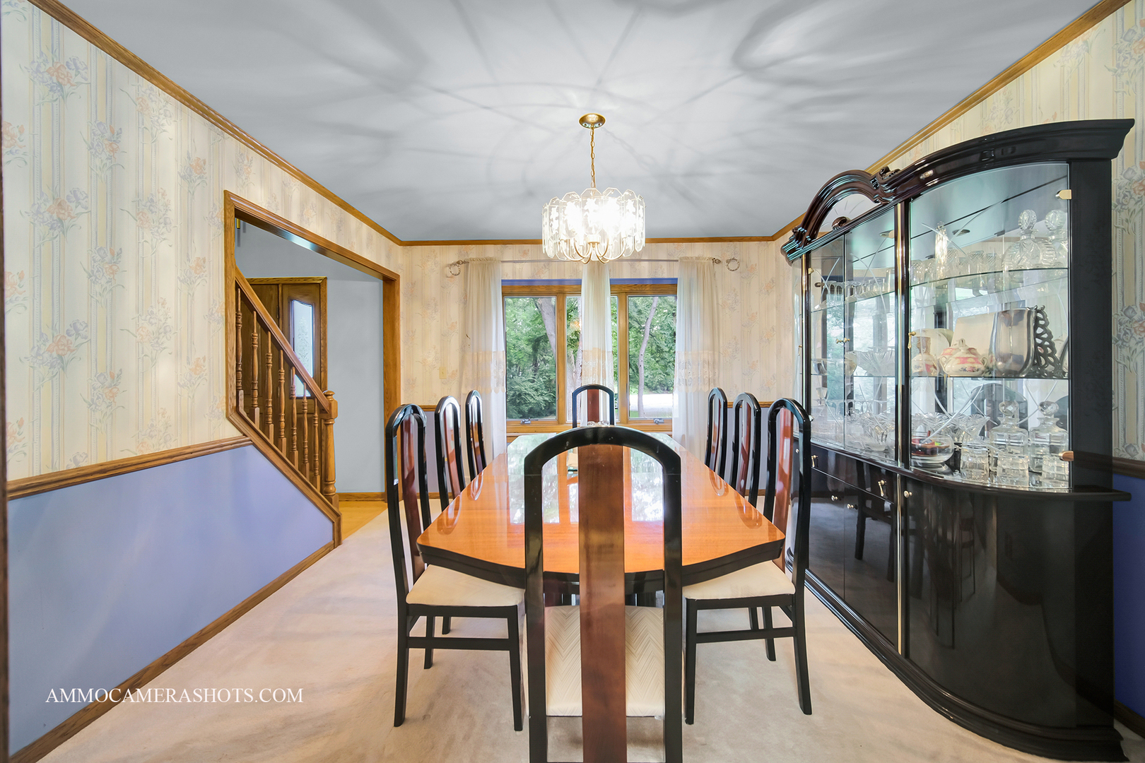 3121 Whispering Oaks Lane, Woodridge, IL 60517