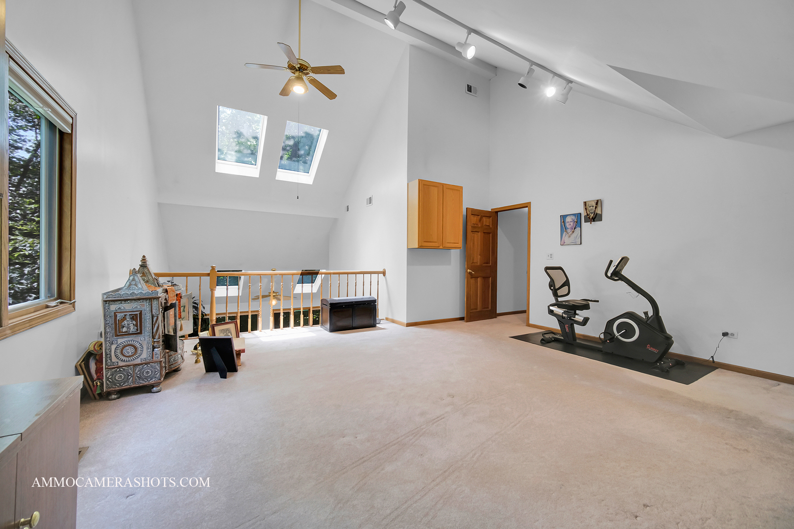 3121 Whispering Oaks Lane, Woodridge, IL 60517