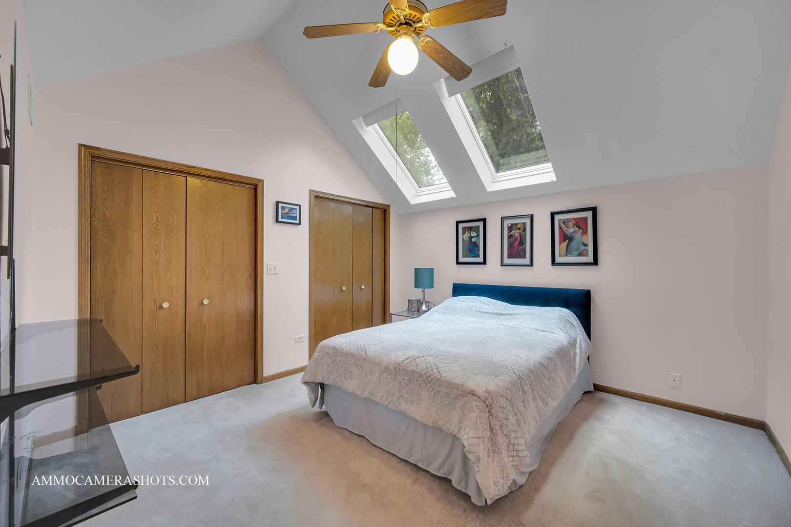 3121 Whispering Oaks Lane, Woodridge, IL 60517