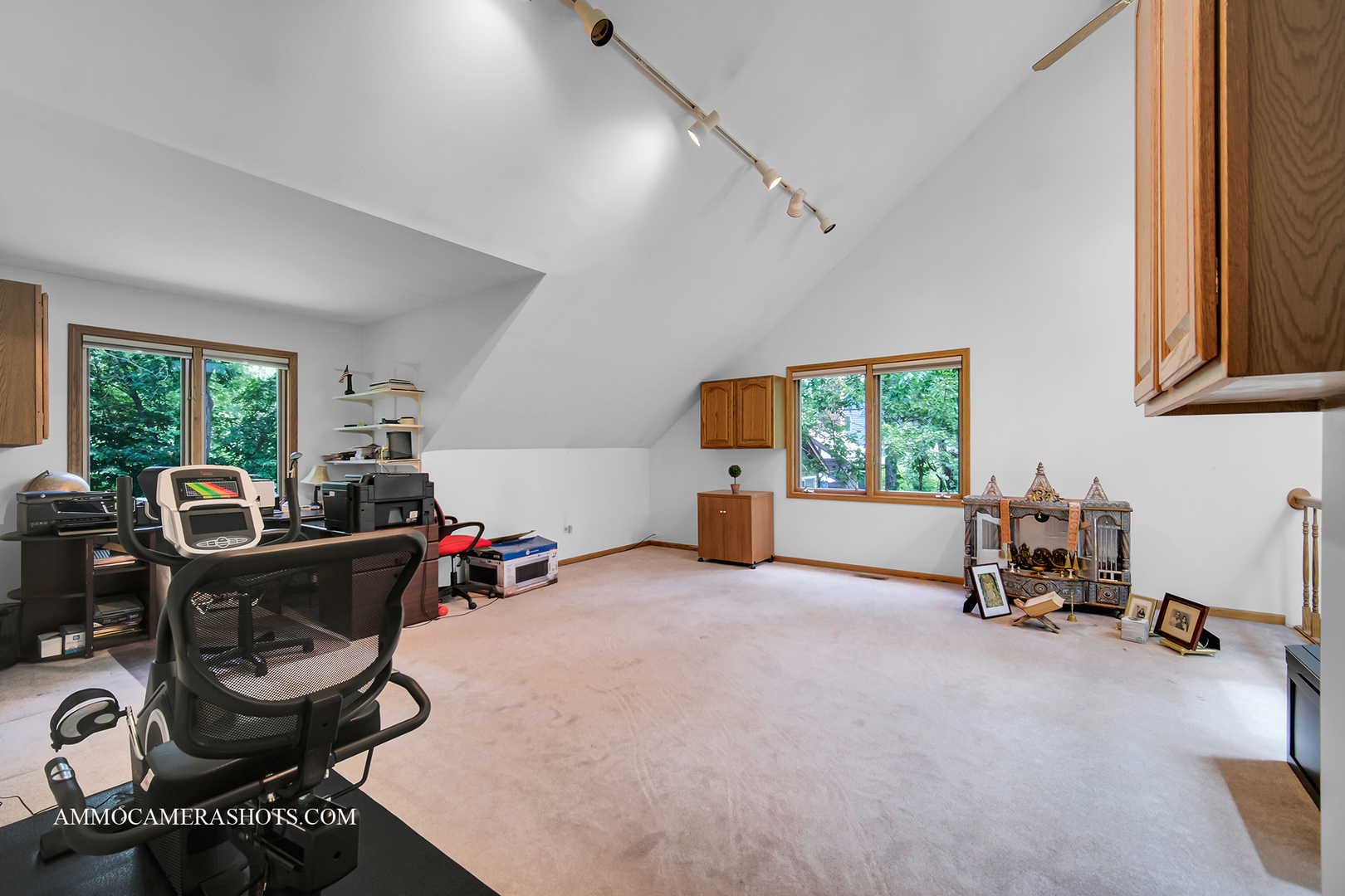 3121 Whispering Oaks Lane, Woodridge, IL 60517