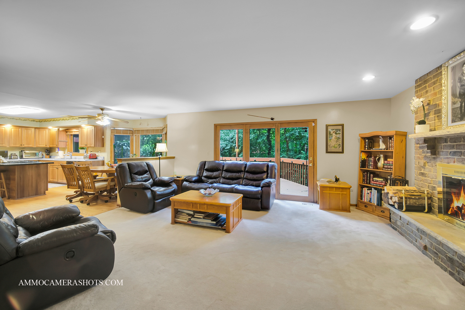 3121 Whispering Oaks Lane, Woodridge, IL 60517