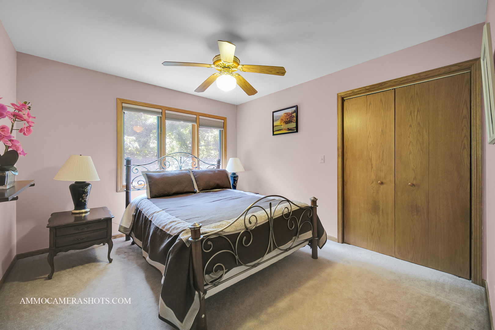 3121 Whispering Oaks Lane, Woodridge, IL 60517