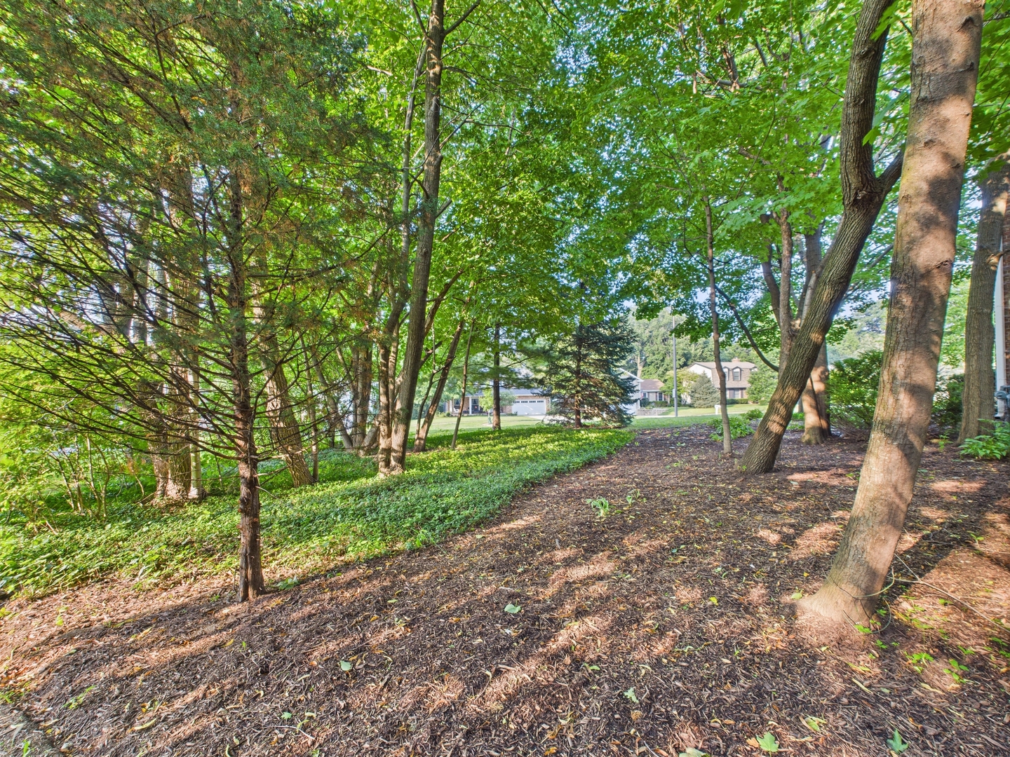 1136 Pine Court, Batavia, IL 60510