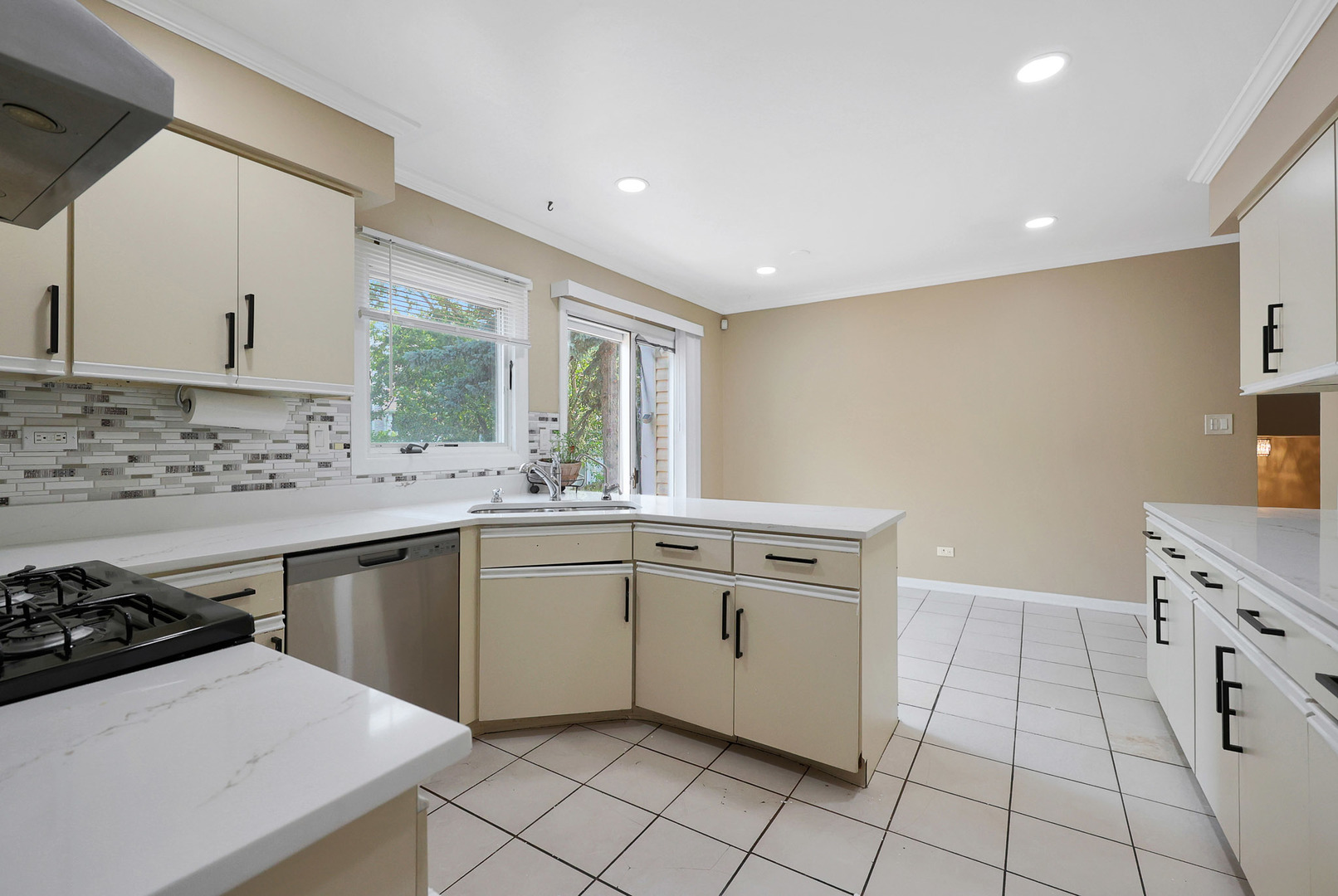 1356 Larchmont Drive, Buffalo Grove, IL 60089