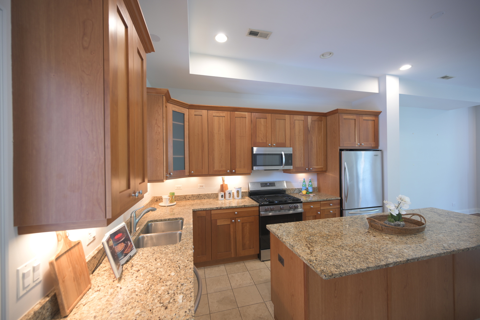 1229 N Paulina Street #2, Chicago, IL 60622