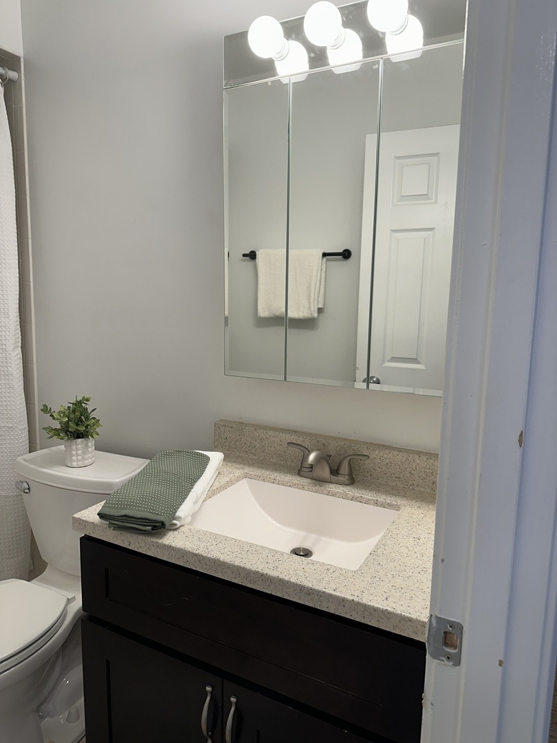 4537 Maple Avenue #2S, Brookfield, IL 60513