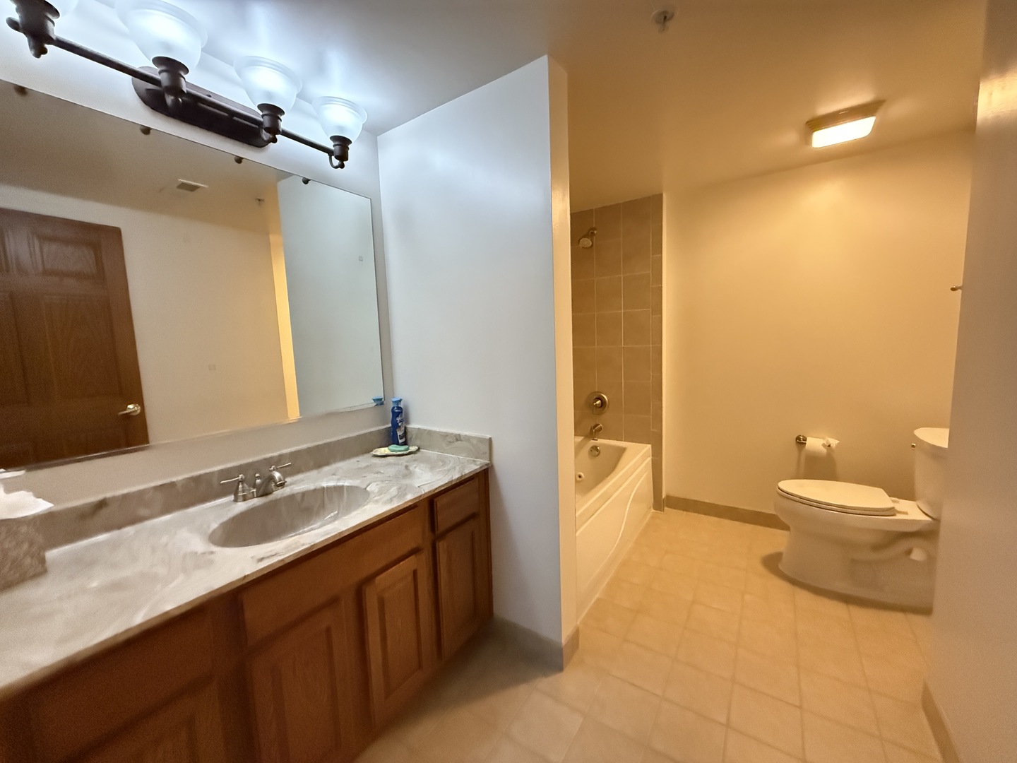 201 W Brush Hill Road #103, Elmhurst, IL 60126