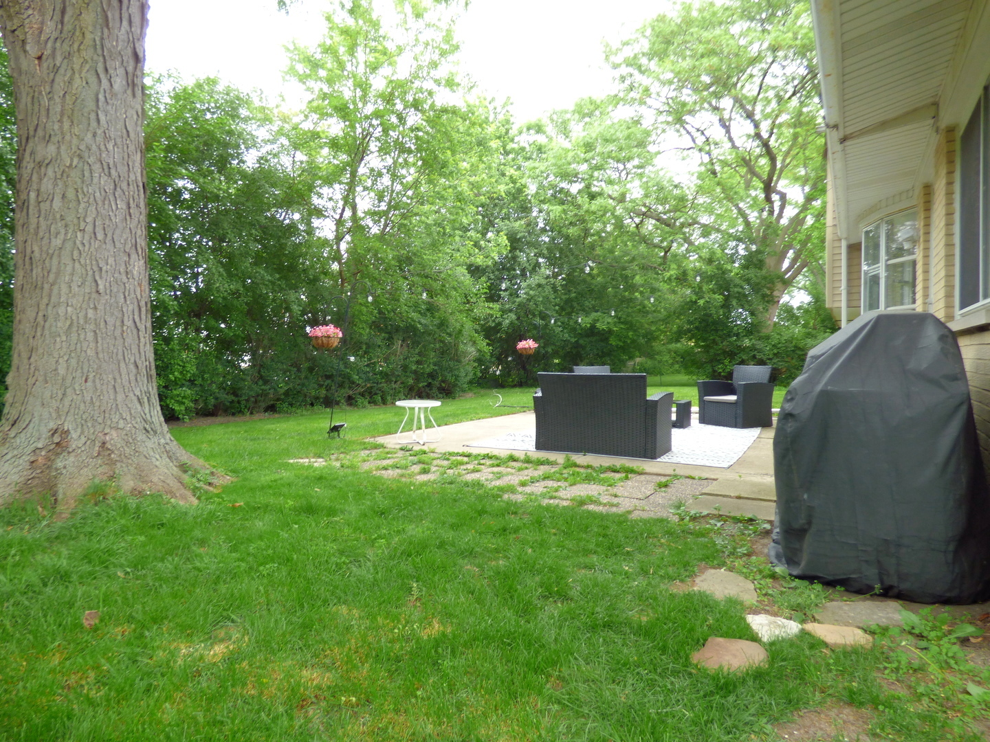 1420 E Lake Louise Drive, Palatine, IL 60074